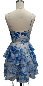 Dave and Johnny Short 12612 - Blue Print