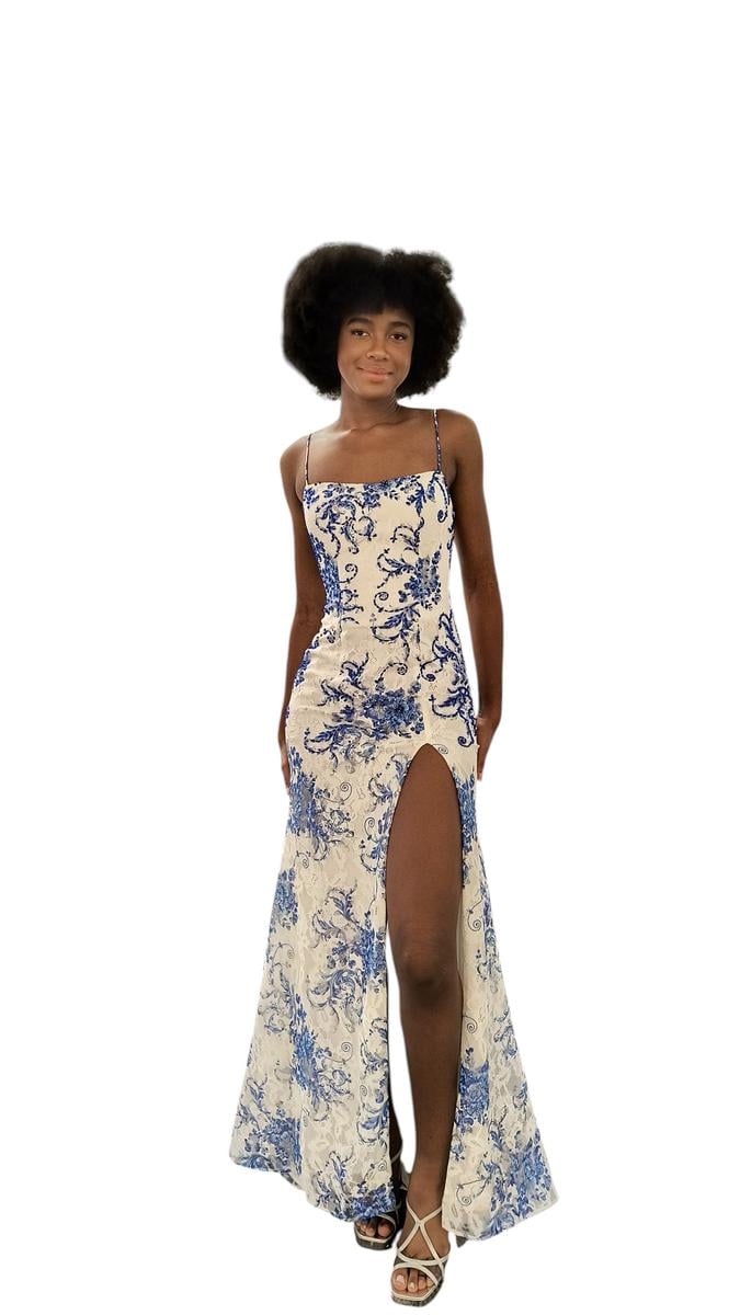 Dave and Johnny Long 12951