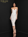 Terani Couture Cocktail 1811C6027 - Ivory/Nude