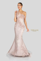 Terani Evenings Dress 1911E9095