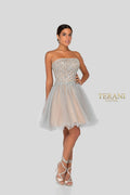 Terani Prom Dress 1911P8016