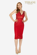 Terani Cocktail Dress 2011C2005