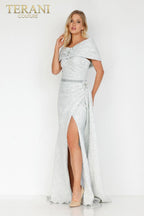 Terani Evenings Dress 2011E2105 - Sage