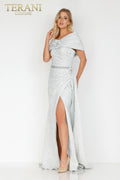 Terani Evenings Dress 2011E2105