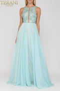 Terani Prom Dress 2011P1095