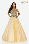 Terani Prom Dress 2011P1149