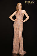 Terani Prom Dress 2011P1157