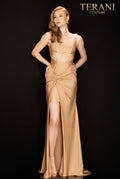 Terani Prom Dress 2011P1061