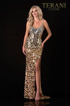 Terani Prom Dress 2111P4064