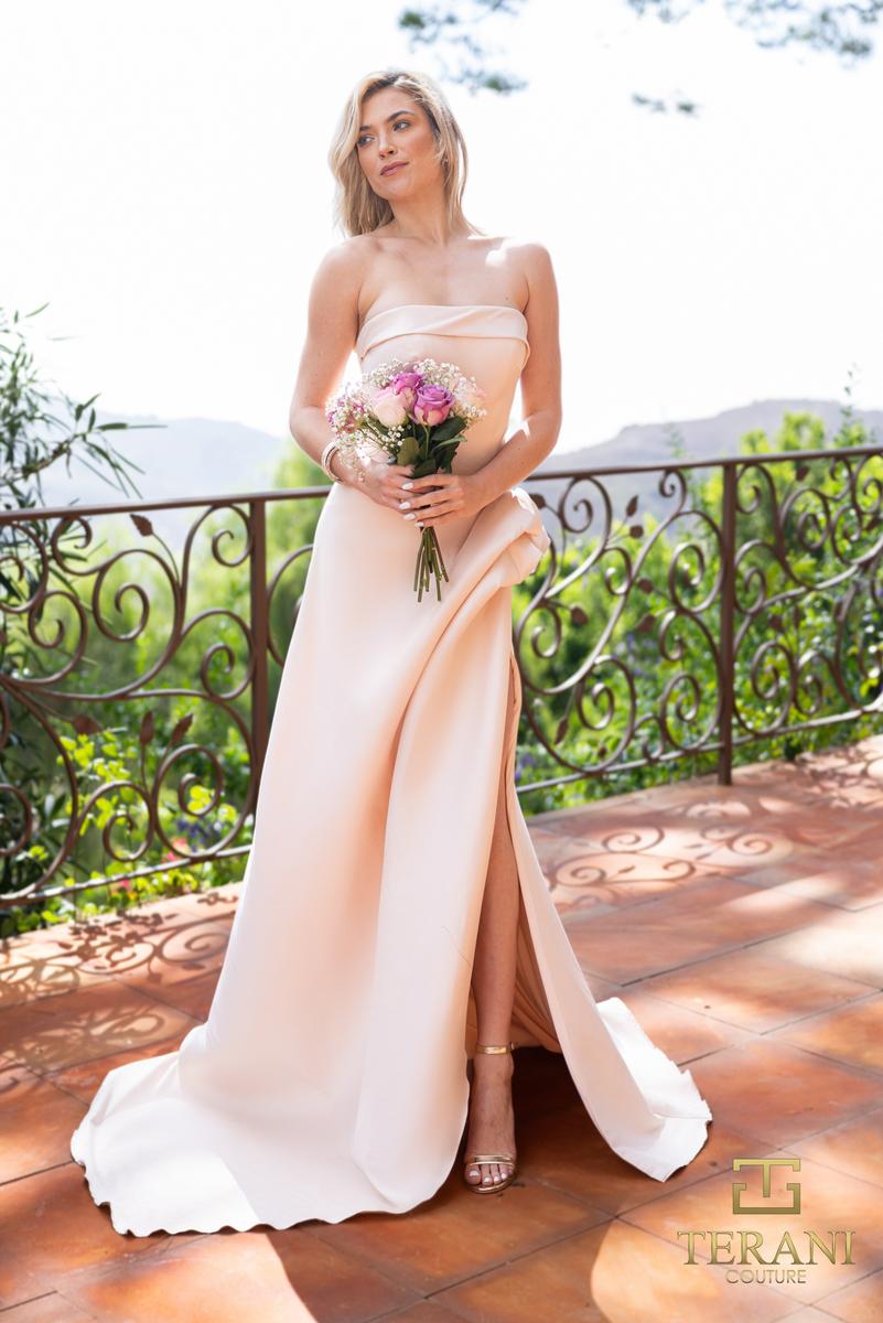 Terani Prom Dress 2111P4019