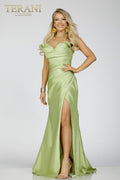Terani Prom Dress 231P0180