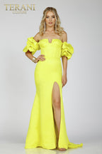 Terani Prom Dress 231P0181