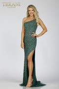 Terani Prom Dress 231P0198
