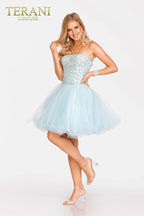 Terani Prom Dress 231P0565