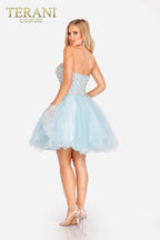 Terani Prom Dress 231P0565 - Tiffany