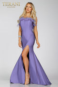 Terani Prom Dress 231P0067