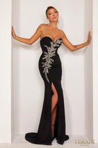 Terani Evenings Dress 232E1232
