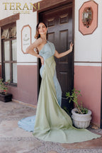 Terani Evenings Dress 232E1276