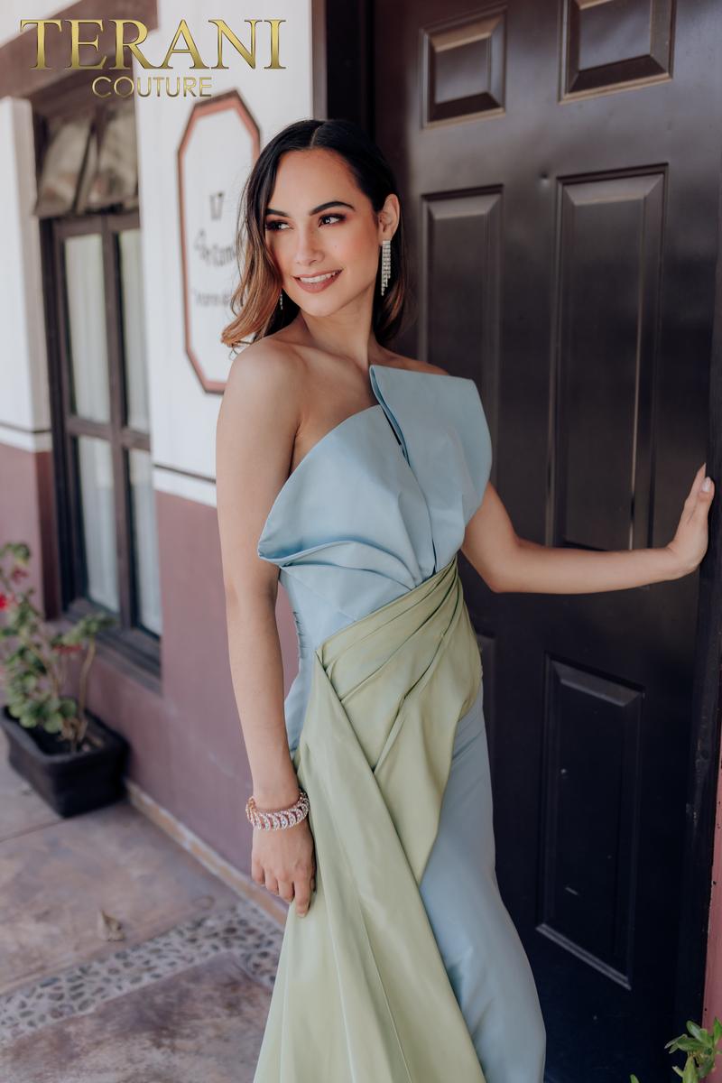Terani Evenings Dress 232E1276 - Mist Sage