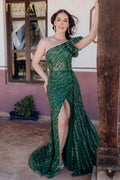Terani Pageant Dress 232GL1479