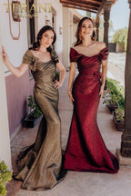 Terani Mother of the Bride Dress 232M1518 - Wine