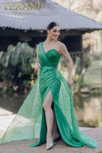 Terani Evenings Dress 232E1229 - Emerald