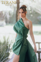 Terani Evenings Dress 232E1245 - Hunter