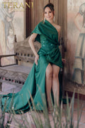 Terani Evenings Dress 232E1245