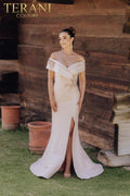 Terani Mother of the Bride Dress 232M1530 - Blush