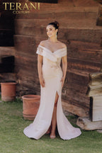 Terani Mother of the Bride Dress 232M1530 - Blush
