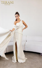 Terani Evenings Dress 241E2406