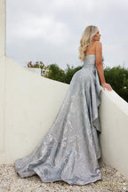 Terani Evenings Dress 241E2487 - Silver