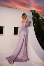 Terani Evenings Dress 241E2504 - Mauve