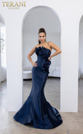 Terani Evenings Dress 241E2512