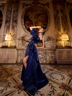 Terani Evenings Dress 241E2515 - Navy