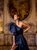 Terani Evenings Dress 241E2515