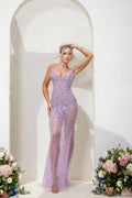 Terani Prom Dress 241P2071