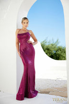 Terani Prom Dress 241P2135