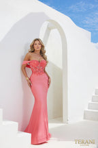 Terani Prom Dress 241P2250