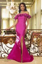 Terani Evenings Dress 242E3102