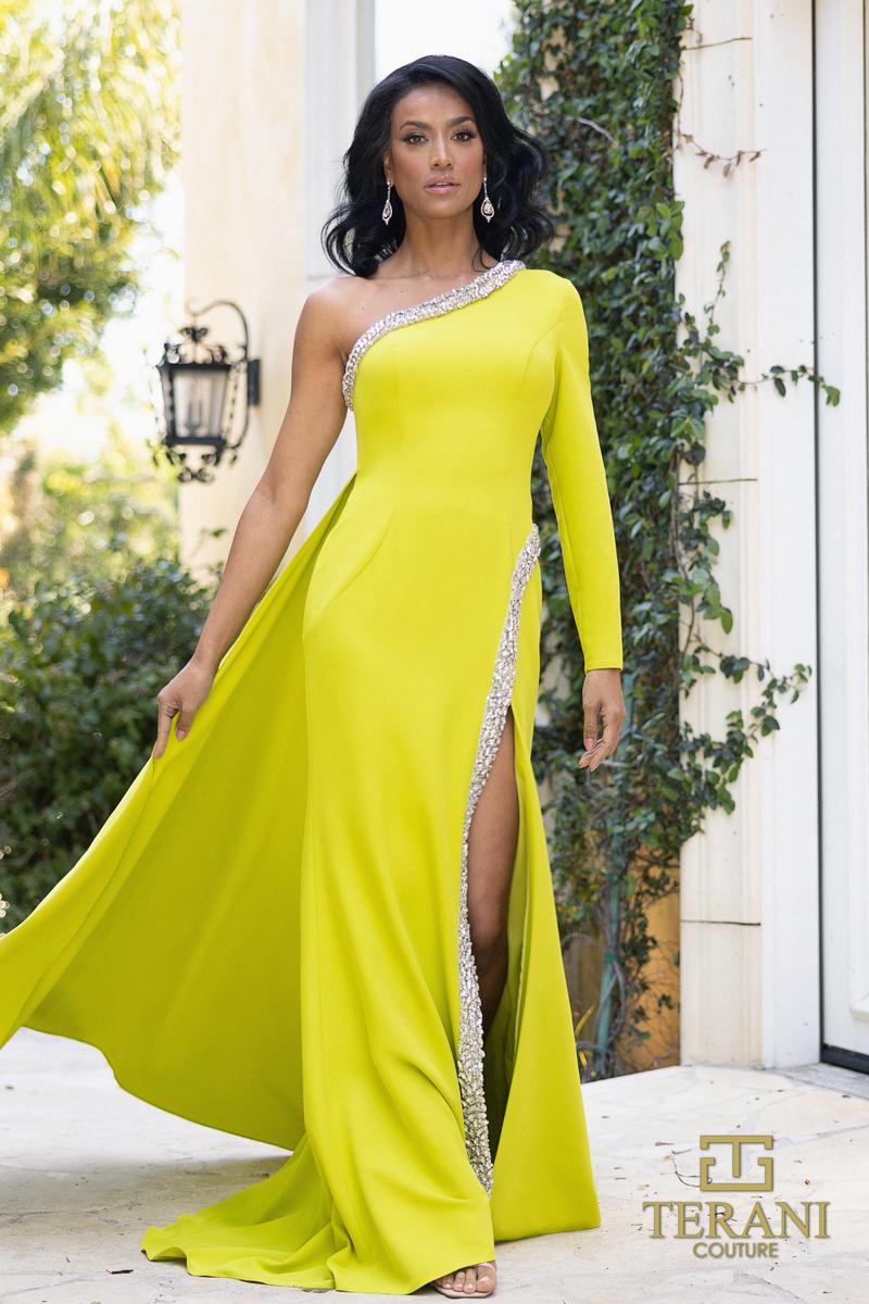 Terani Evenings Dress 242E3133 - Emerald