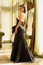 Terani Evenings Dress 242E3151 - White Black