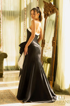 Terani Evenings Dress 242E3151 - White Black