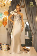 Terani Evenings Dress 242E3165 - Silver Black