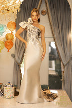 Terani Evenings Dress 242E3165 - Silver Black