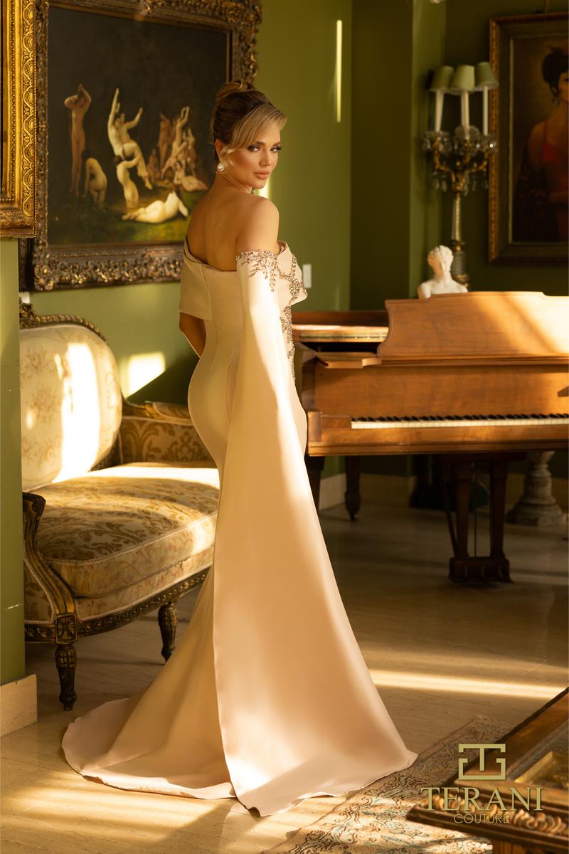 Terani Mother of the Bride Dress 242M3311 - Blush