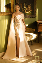 Terani Mother of the Bride Dress 242M3311 - Blush