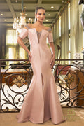 Terani Mother of the Bride Dress 242M3313 - Blush