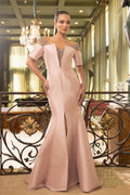 Terani Mother of the Bride Dress 242M3313