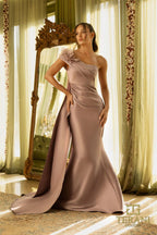 Terani Mother of the Bride Dress 242M3314 - Mauve